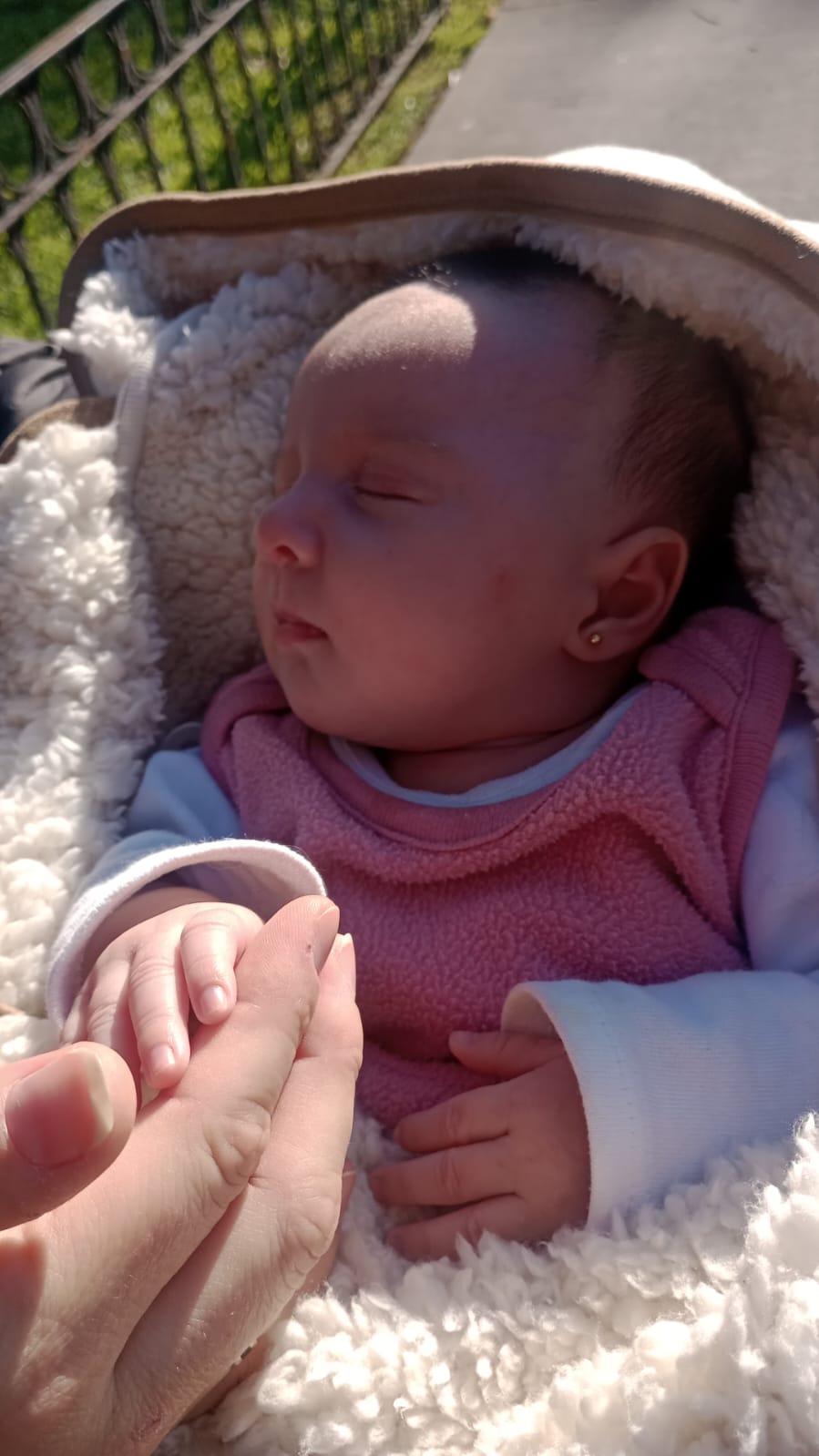 WhatsApp Image 2024-09-03 at 16.20.25.jpeg